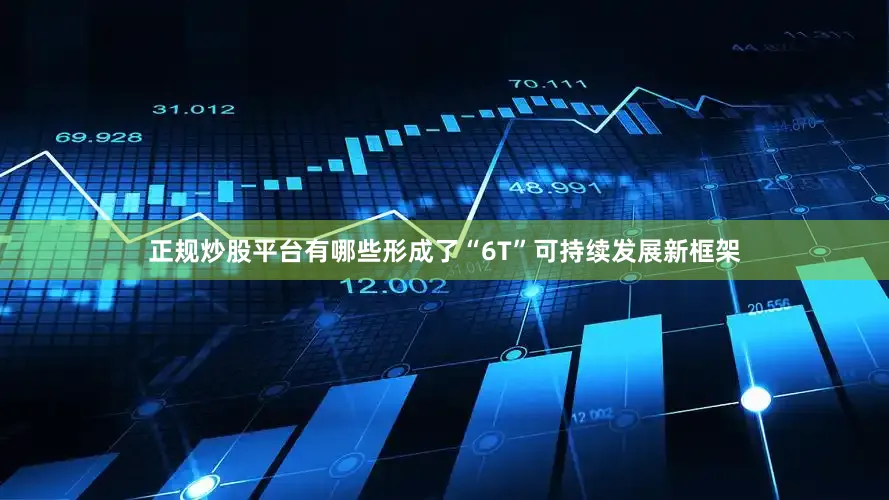 正规炒股平台有哪些形成了“6T”可持续发展新框架