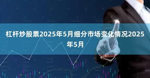 杠杆炒股票2025年5月细分市场变化情况2025年5月