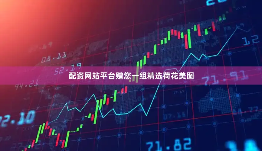 配资网站平台赠您一组精选荷花美图